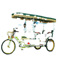 Electric Scooter Bike Rickshaw,Adult Tricycle Cargo