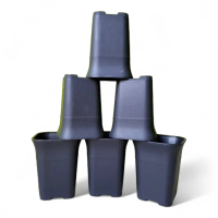 COD Pot Kotak Hitam NKT 8cm best quality isi 6pot/pot hitam/pot tanaman/pot NKT Bunga Media