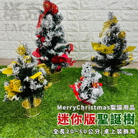 聖誕節 聖誕樹 迷你聖誕樹 雪花樹 (20-50CM) 聖誕樹盆 交換禮物 辦公室專屬 雪花樹【塔克】