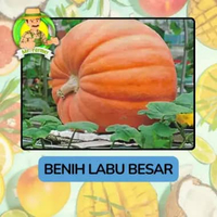Benih Buah Buahan Bibit Biji Tanaman Organik Labu Besar