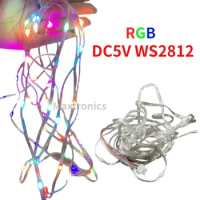 5M DC5V Programmable WS2812B RGB LED Fairy String Pixels Dream Color 1M/10LED Waterproof for Wedding Party Holiday Tree Decor