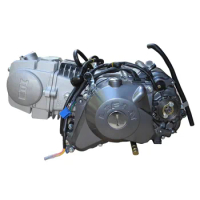 LIFAN LF125 125CC Engine Electric and Kick Start Manual Clutch 4 Speed for Pit bike and Motorcycle