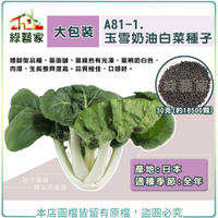 【綠藝家】大包裝A81-1.玉雪奶油白菜種子30克(約18500顆) 牛奶白菜