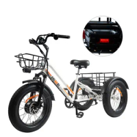 20" Fat Tire Fast Shipment 48V 750W Bafang Motor Long Range 3 Wheel Fat Electric Tricycle Cargo Trike Bike