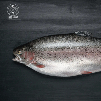 Salmon Utuh Norwegian Frozen | Frozen Fresh | Salmon Trout Norwegia