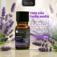 Tinh Dầu Thiên Nhiên Hương Oải Hương Aroma Story Nguyên Chất  Xông Phòng, Thư Giãn, Ngủ Ngon 10ml