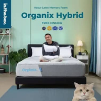 Kasur Busa Latex IN THE BOX ORGANIX HYBRID - FREE Bantal & Mattress Protector 180 x 200