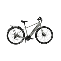 【DOSUN】電動輔助自行車 CTPRO 18吋水泥灰(車麗屋)