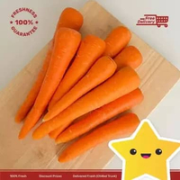 HasilSumberalaM Wortel Brastagi Brastagi Import Carrot 1 kg 1kg 10-20pcs