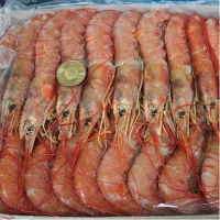 【生食級】2公斤巨無霸刺身級天使紅蝦/盒(約30~36隻)-免運
