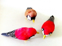 定做各種仿真鳥 珍珠鳥 彩色羽毛喜鵲 小鳥 攝影道具 教學儀器