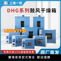 可開發票 上海一恒電子電熱恒溫鼓風干燥箱實驗室DHG9030A工業烘箱烤箱
