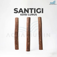 Kayu Santigi Gunung / Santigi Wood Aquascape Tipe LURUS Aquarium