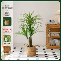 掬涵北歐輕奢模擬綠植龍血樹大型落地盆栽高階假植物客廳裝飾擺件
