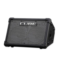 【ROLAND 樂蘭】CUBE Street EX便攜式立體聲音箱(CUBE STEX 全新公司貨)