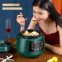 2L Electric Pressure Cooker 24H Timer Intelligent Soup Multifunctional Household Rice Cooker Slow Cooker Electric Cooking Pot