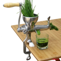 Stainless steel wheat grass wheatgrass slow Juicer Vegetables orange extractor machine