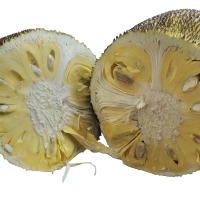 nangka kupas + biji sama non biji fresh manis legit