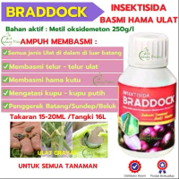 ( BRADDOCK INTEKTISIDA ) oObat Pembasmi Hama Serangga, Grrayak, Telur Ulat, Belalang, Sudep, Kupu - 