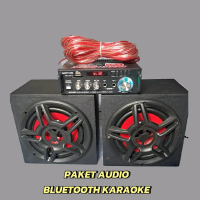 Paket Audio Bluetooth Karaoke Sound Speaker Amplifier