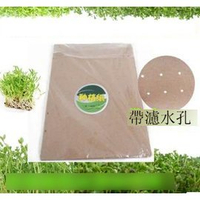 【種植紙-500張】芽苗菜 小麥草 種植紙 帶濾水孔 ，500張/包-5101004