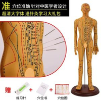 中醫針灸穴位人體模型教學全身十二經絡圖小皮人軟膠扎針練習模特升級版52CM男銅模-軟款可扎針