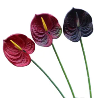 ONE Fake Single Stem Real Touch Anthurium 23" Length Simulation 3D Printing Anthuriums for Wedding Centerpieces