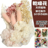 【A-ONE】DIY乾燥永生花 粉黛少女 情人節禮物 乾燥玫瑰 短枝花材 浮游花 乾燥花 不凋花花藝 A02