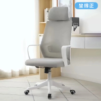 【坐得正】白框灰網+頭枕 辦公椅 電腦椅 人體工學椅 升降椅 電競椅 旋轉椅(OA520WHP)