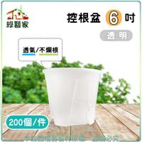 【綠藝家】控根盆6吋 透明 200個/件 塑膠花盆 花盆 盆器 塑膠方盆 種植 園藝