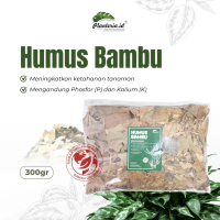 Media Tanam Daun Bambu Humus Ori Tanaman Kalium Tumbuhan  Tanaman Kalium