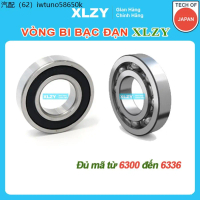 vòng bi XLZY bạc đạn 6308 ,6309 ,6310 ,6311 chính hãng - vongbibacdanxlzy