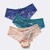 Women Lace Panties Briefs Underwear Lingerie Knickers Thongs G-Strings Lingerie for Women Transparent Wear