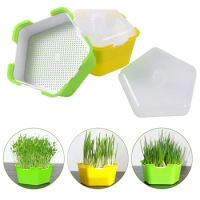 Bean Sprout Growing Box Sprout Planting Pot Seed Germination Starter Wheatgrass Pea Seedlings Soilless Hydroponic Nursery Tray