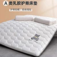 Floor Tatami Mat Keep warm in winter thicken double mattresses students dormitory Foldable latex mattress King Queen Twin Size