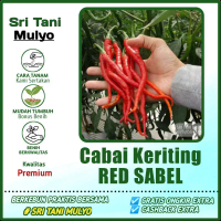 20 Biji - Benih Cabai Keriting RED SABEL F1 - Bibit Tanaman Sayur Sayuran Cabe - Tm 99 Lolay Or Kris