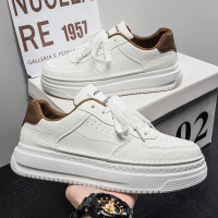 Spring new men's shoes, white sneakers, men's shoes for teenagers, casual shoes, versatile men's sne