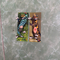 Nhái hơi Piter va Mery, 2.8cm, 6gram lững nổi