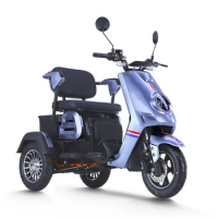 Lingfan 1000W Tricycle Electric Bike Three Wheel Motorcycle Tricycles Adult