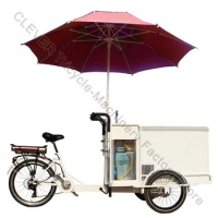 3 Wheel Fashion Design Ice Cream Bike For Sale Cargo Tricycle With 175L Battery Power Freezer Bike Commercial Use