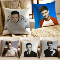[HOT NYRD KHG 121 ] L-Liam Payne Singer Pillow Case Anti-dustmite Pillowcase Invisible zipper silky 