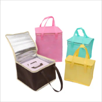 500pcs/Lot Reusable Insulation Custom Logo Non-woven Bag Foil Portable Thermal Delivery Multicolor Design With Zipper Cover