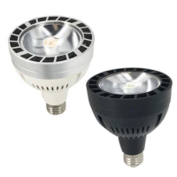 PAR30 Bulb 30W E27 LED SpotLight High Power Bedroom Lamp