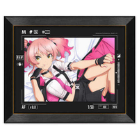 ■預購■『asobi』通販｜偶像大師灰姑娘女孩 U149 LiPPS 『城崎美嘉』高級複製框畫。[0817]