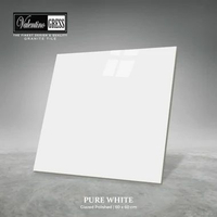 GRANITE VALENTINO GRESS 60X60 CM - PURE WHITE