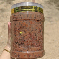 CHOCOJAR BIG SIZE 1400ML