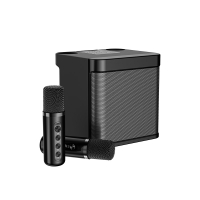 YS-203 Convenient Home Karaoke hine Wireless Bluetooth Speaker Home Theater Sound System Para Casa HIFI Stereo Bluetooth