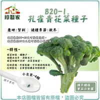 【綠藝家】B20-1.孔雀青花菜種子 4顆