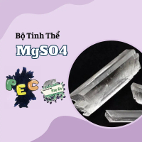 [MgSO4] Combo sinh thành tinh thể trong suốt
