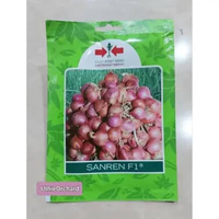Benih Panah Merah – Bawang Merah Sanren F1 SP isi 800 Benih